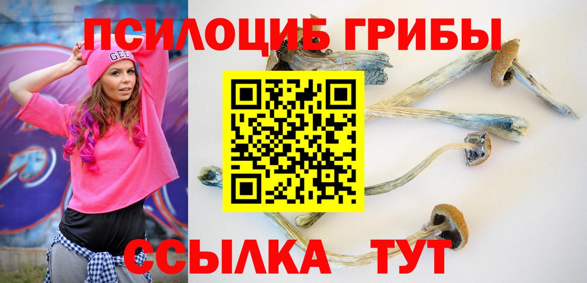 Псилоцибиновые грибы Psilocybine cubensis Клинцы