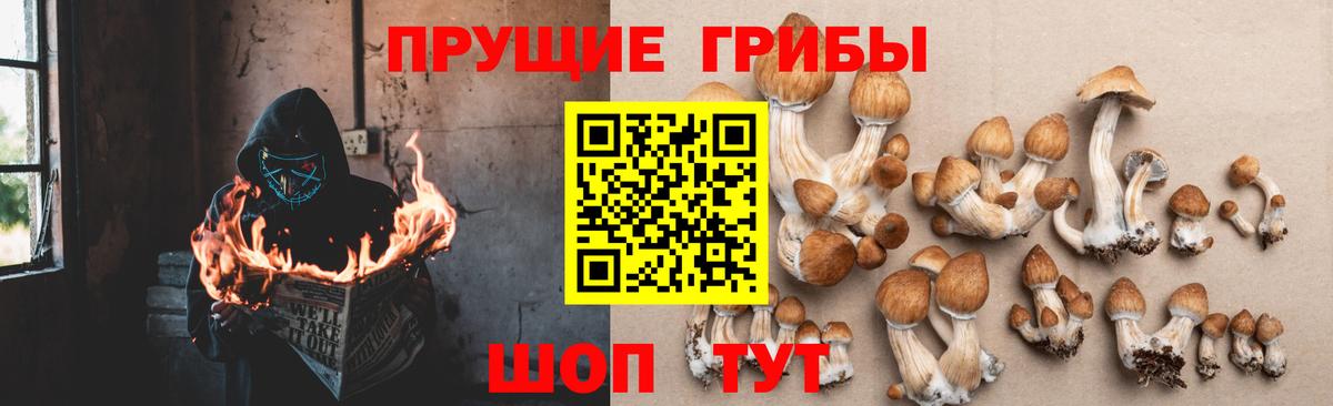 Клинцы  Псилоцибиновые грибы Magic Shrooms  Вход с VPN  Галлюциногенные грибы Magic Shrooms 